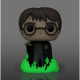 Фигурка Funko Pop Harry Potter and the Chamber of Secrets #66754 / Фанко Поп Гарри Поттер