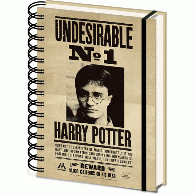 Блокнот Pyramid International Harry Potter and Sirius 3D